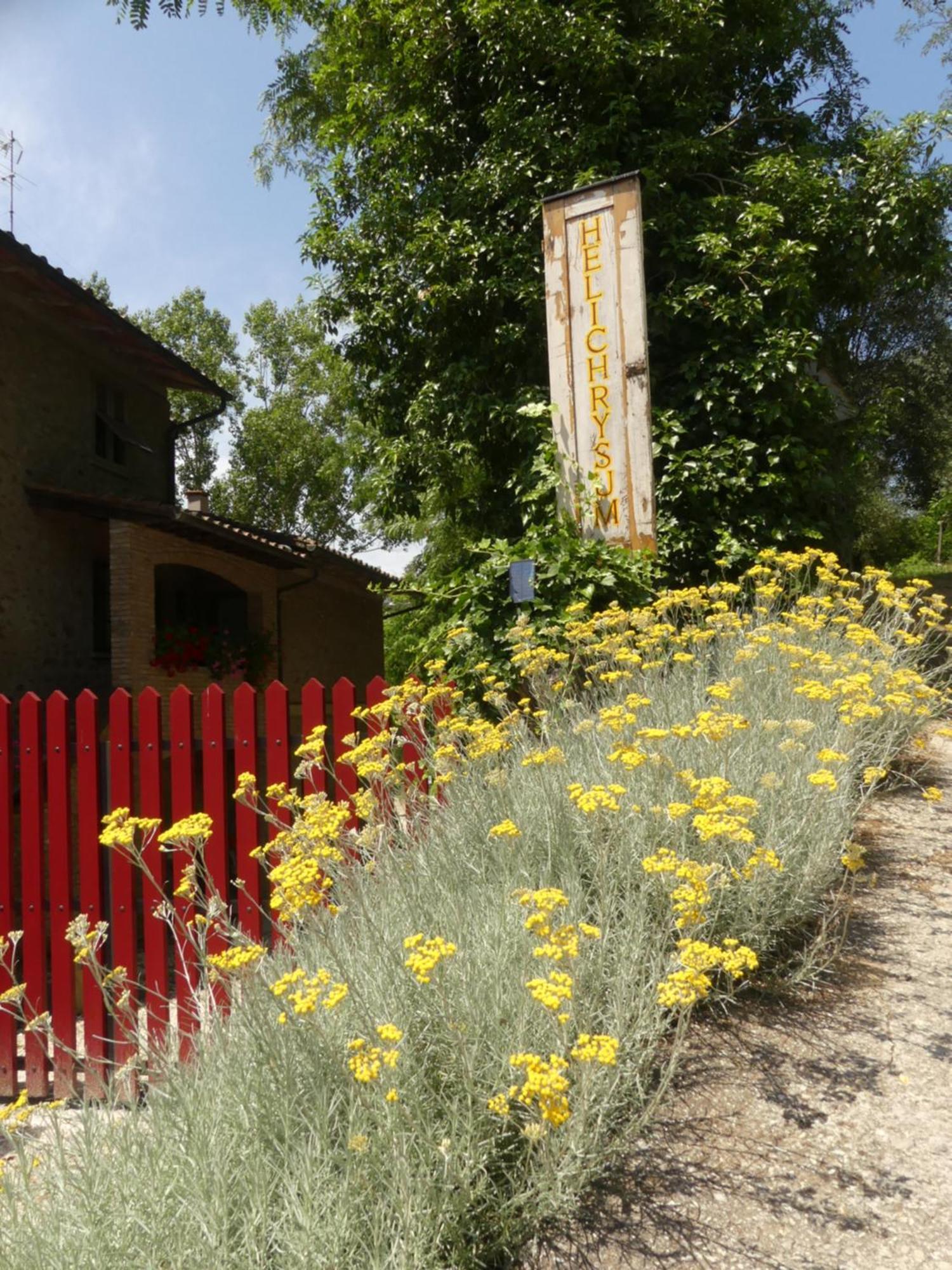 לינה וארוחת בוקר וינצ'י Helichrysum מראה חיצוני תמונה